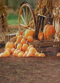 

TR Pumpkin Farmers Wheel Hay Grass Photography Backgrounds High-grade Vinyl Cloth Computer Printed Photo Backdrop Studio Props