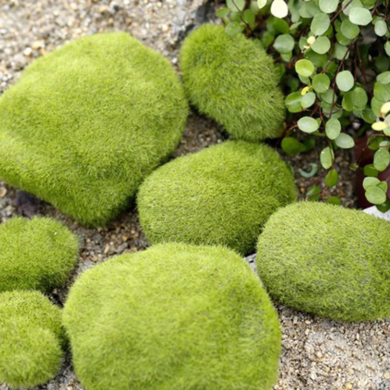 4 размера искусственные каменные зеленые моховые растения цветы для вечерние садовые лужайки пол украшение дома аксессуары