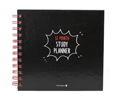 

Pure color coil study book 120 months study planner 17.7*16.5cm DIY agenda 80P