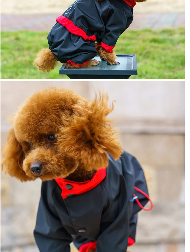 TB2pPE3k84lpuFjy1zjXXcAKpXa_!!2417947080