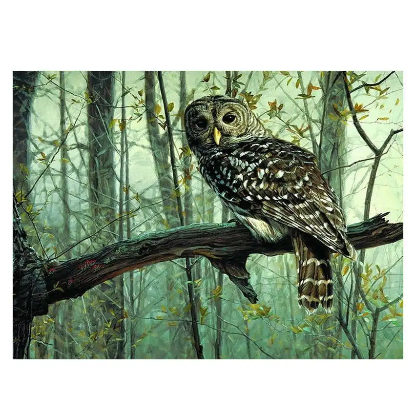 

Pictures By Numbers,Wall Pictures,Living Room Decoration,Forest Owl Paint By Numbers