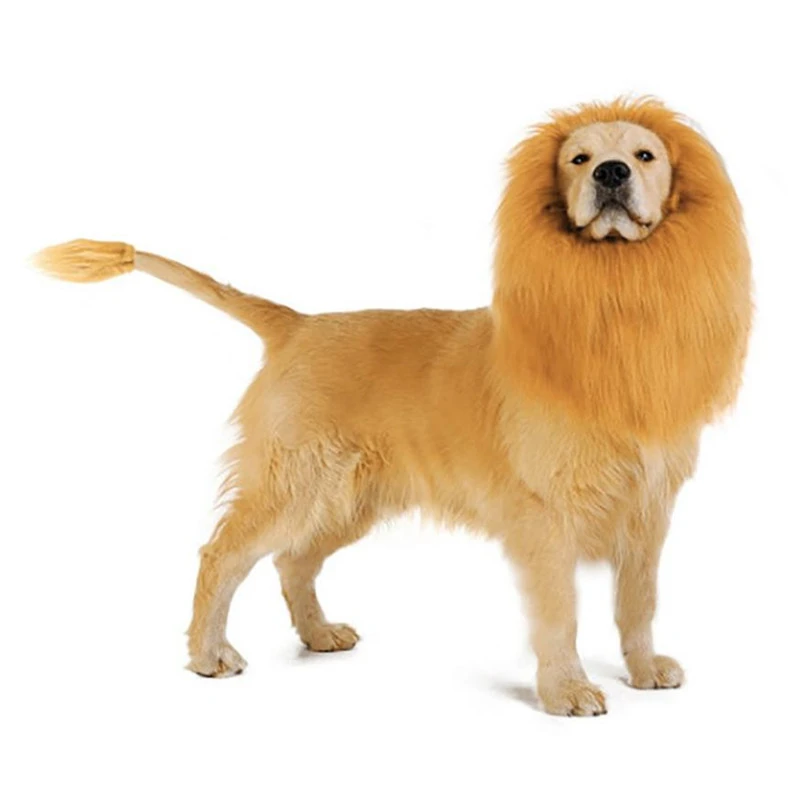 Lion wig for dog Clearance