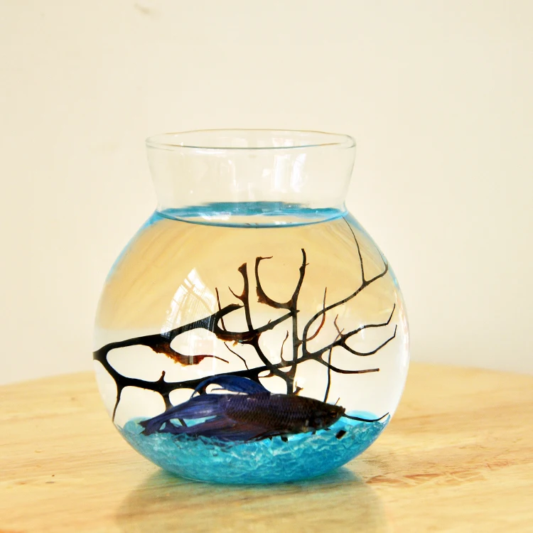 Vases Flower Planter Flower Bottle Glass Fish Tank Container Terrarium Home Table Decoration Clear