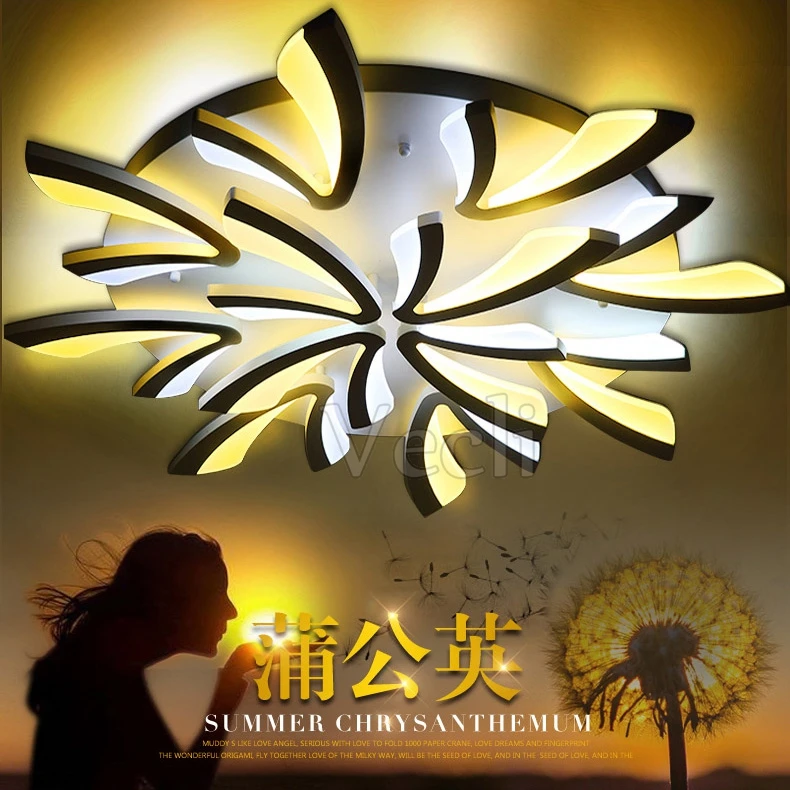 Ceiling lamps (1)