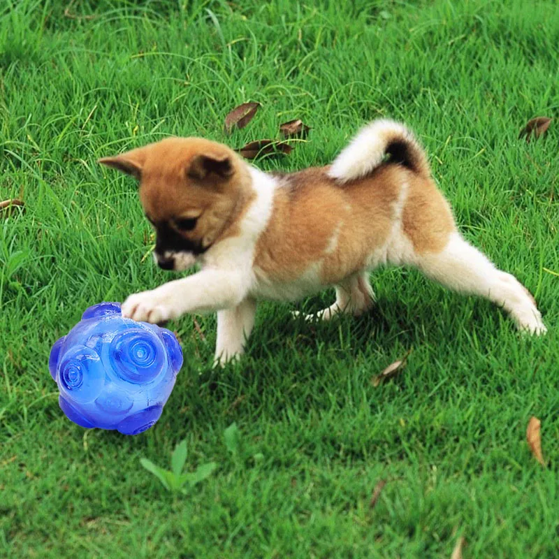Karet Mencicit Mainan Anjing Kecil Anjing Besar Bola Lucu