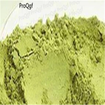 

300gram A Set Equisetum ramosissimum Snow Petrel