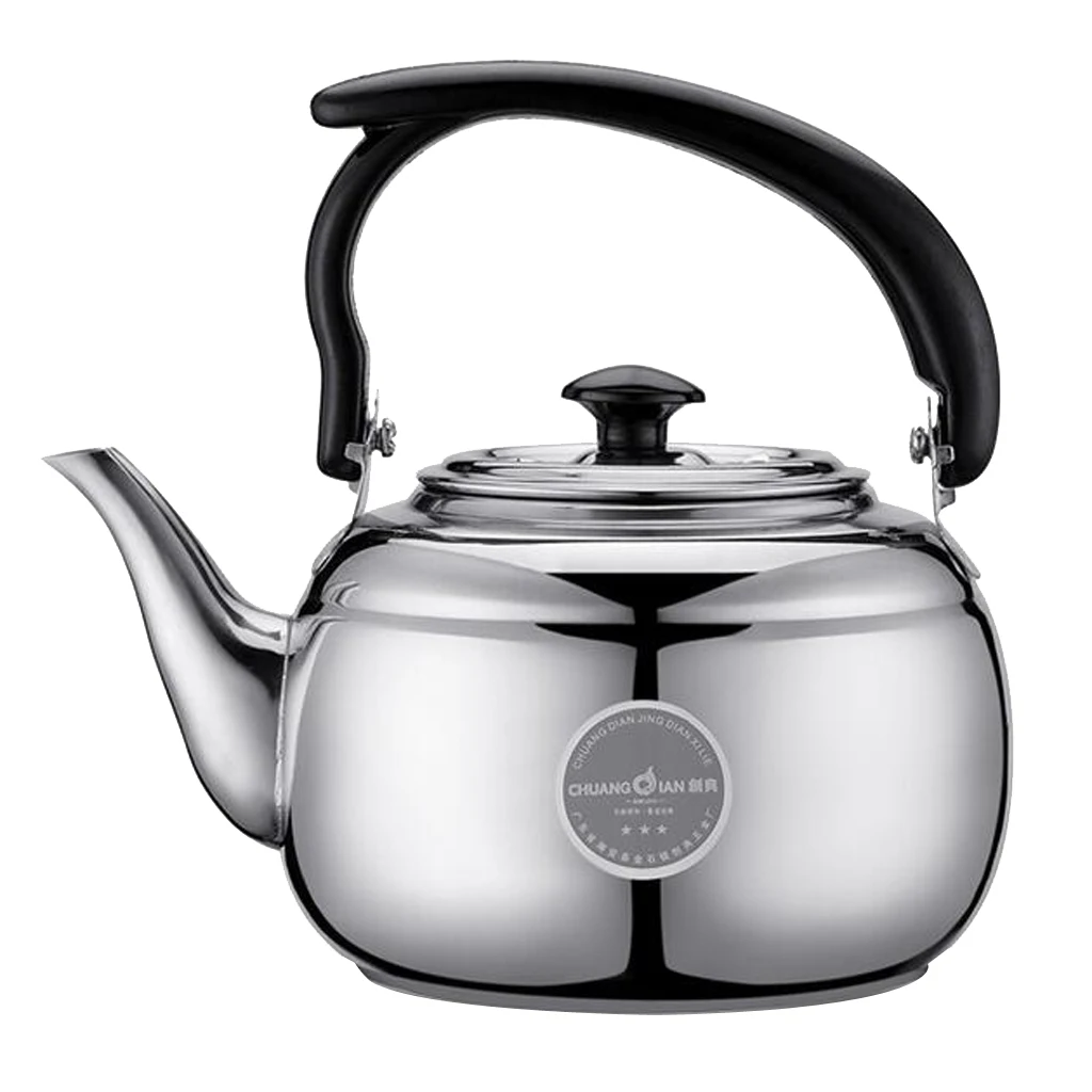 1L Stainless Steel Teapot TeaKettle Stovetop Fast Boiling for Tea Coffee