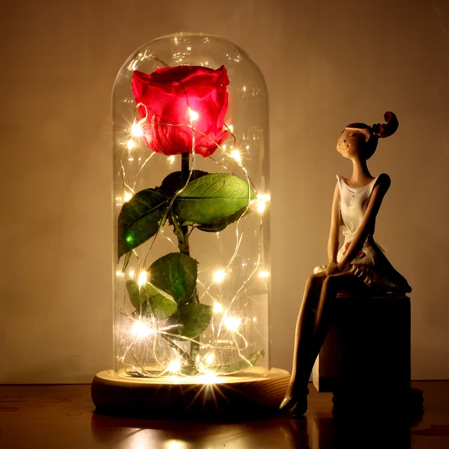 PreservedFreshFlower Beauty and The Beast Rose with Dome Preserved Rose