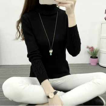 

Thicken Warm Women Turtleneck Sweaters Autumn Winter Pullovers Knitted Long Sleeve Cashmere Sweater Female Jumper Tops