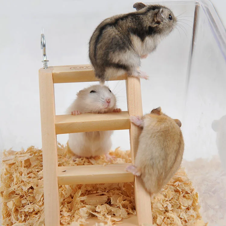 Buy Natural Wood Hamster ladder chew toy accessories