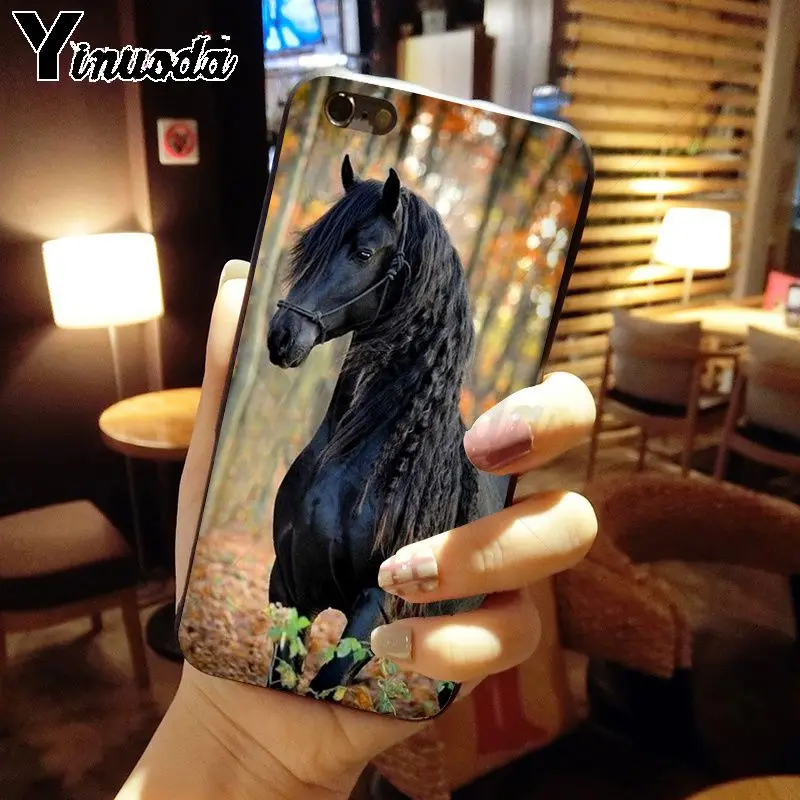horse animal