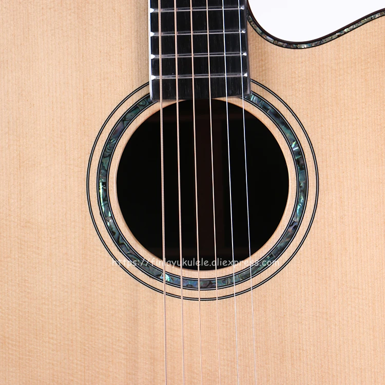 Professional Cutaway 41