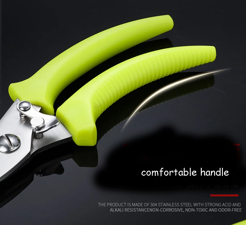 O1CN01JL3zGz20afsCbwtR4_!!2247176866