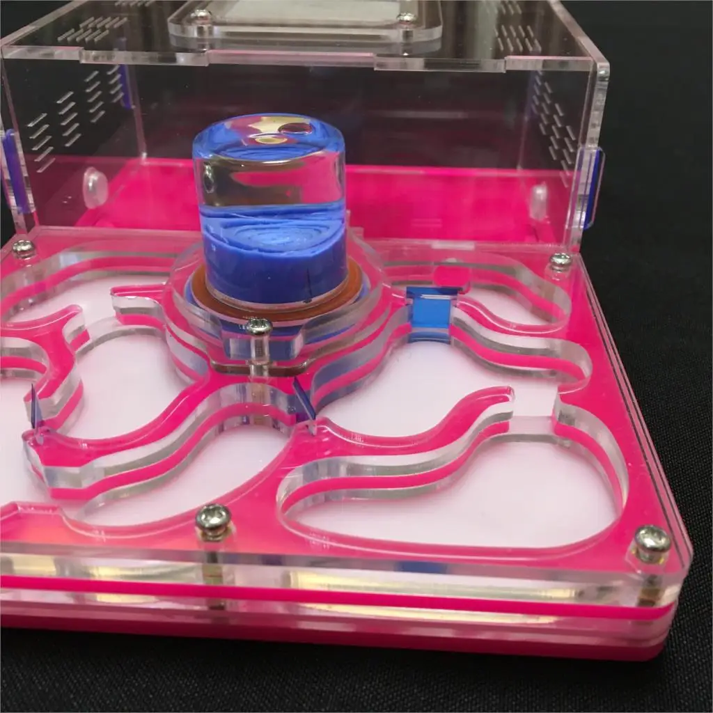 Buy L size plane design 9color available ant farm acrylic moisture with feeding area, insect ant villa pet advanced mania farm ants