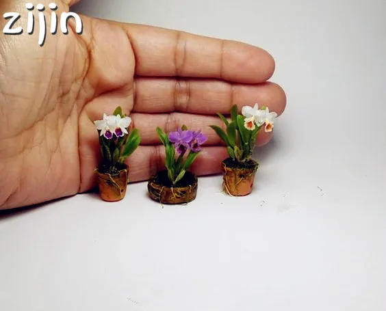 

20pcs Mini Orchid flowers indoor flowers for home and garden potted flowers Phalaenopsis easy to grow