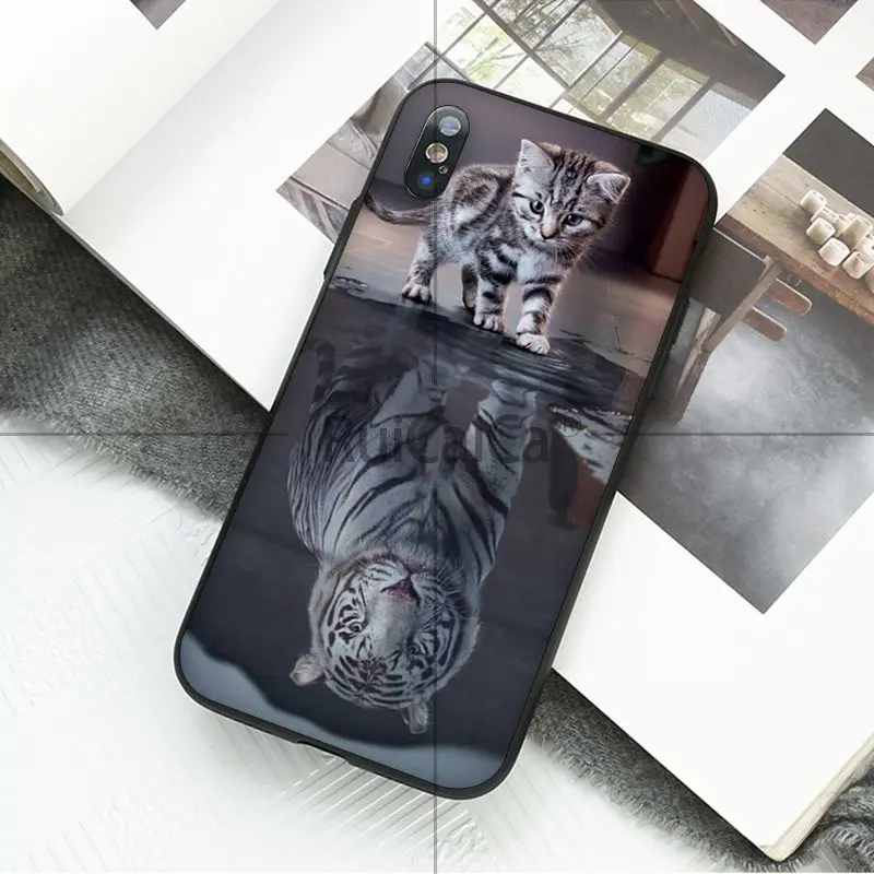 animal tiger