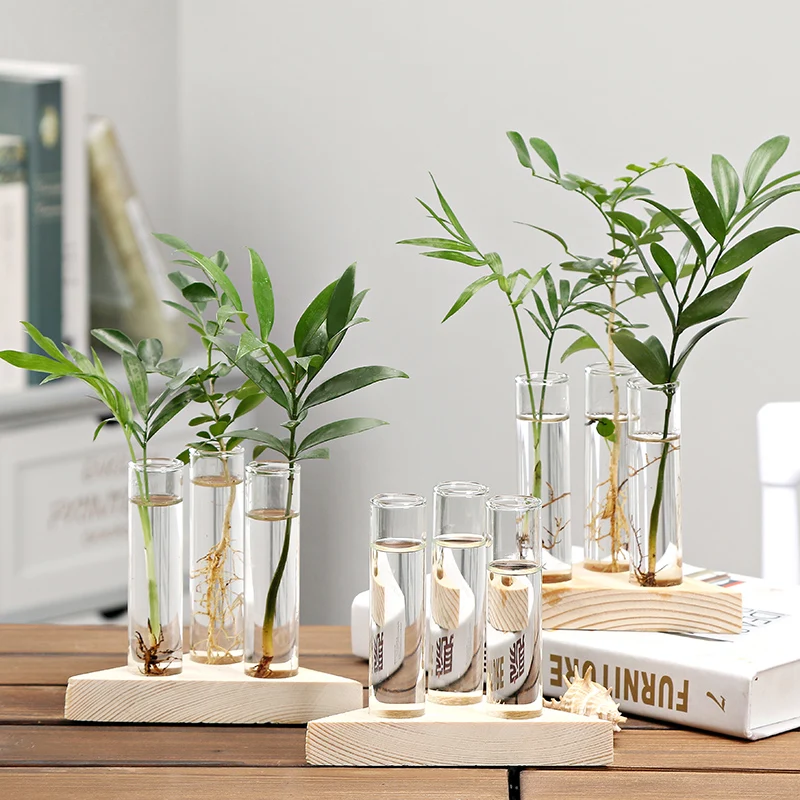 

Nordic Style Tube Glass Vase with Wood Base Hydroponic Vase Elegant Tabletop Vase for Water Planting Flower Terrarium Container