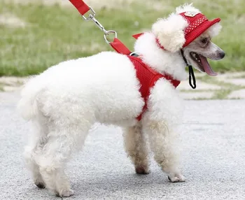 

Pet Dog Hat Summer Sun Protection Cap Sun hats Visors