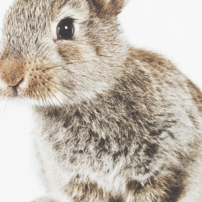 Sylvie-Flopsy-Framed-Canvas-Art-by-Amy-Peterson-Gold-28x36-N-A-9de1f1fd-98e5-4908-b838-a17112fa1a7c.webp