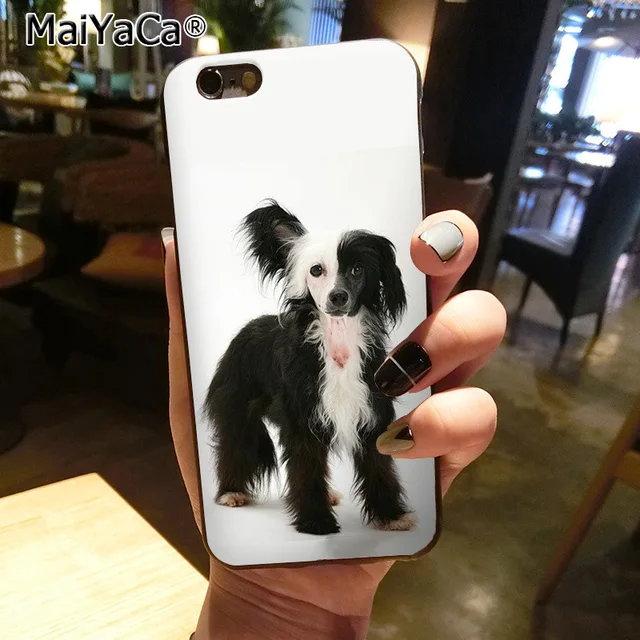 Chinese Crested Dog iphone 11 case Chinese Crested Dog iphone 11 case