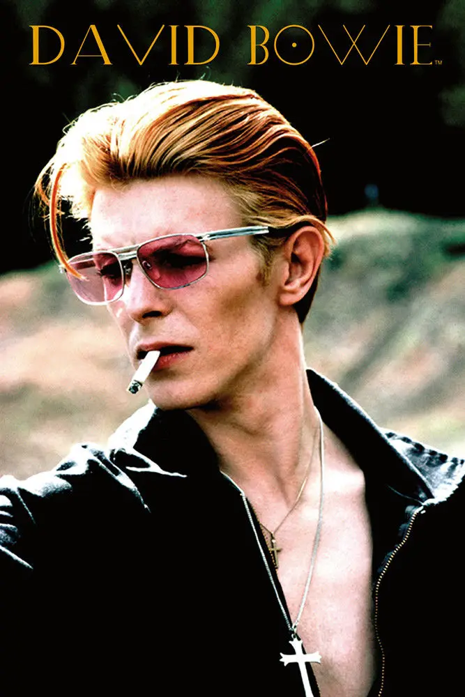 

DAVID BOWIE - REBEL SILK POSTER Decorative Wall paint 24x36inch