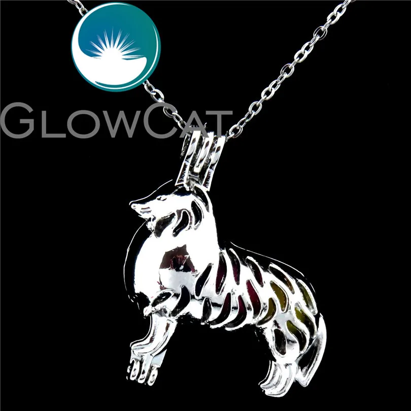 GLOWCAT K549 Australian Shepherd Dog Beads Cage