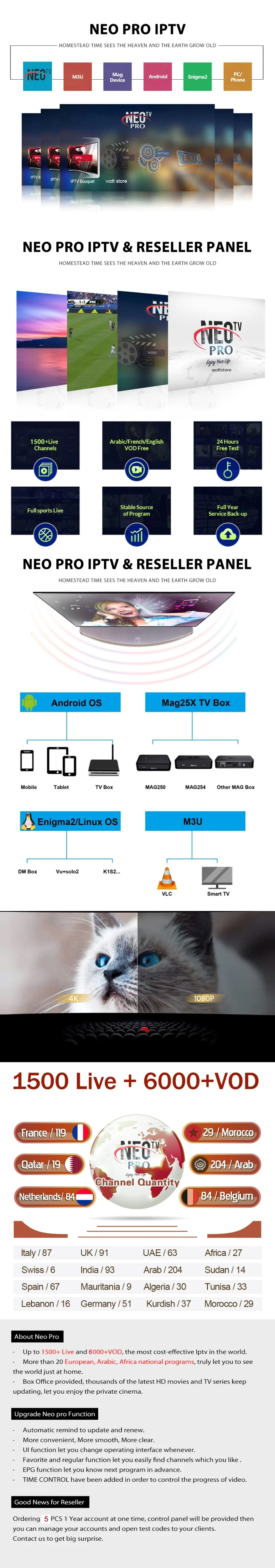 NEO tv PRO IP tv один год подписка для Android tv Box Smart tv m3u VLC Европа арабский голландский Beigium французский IP tv NEO