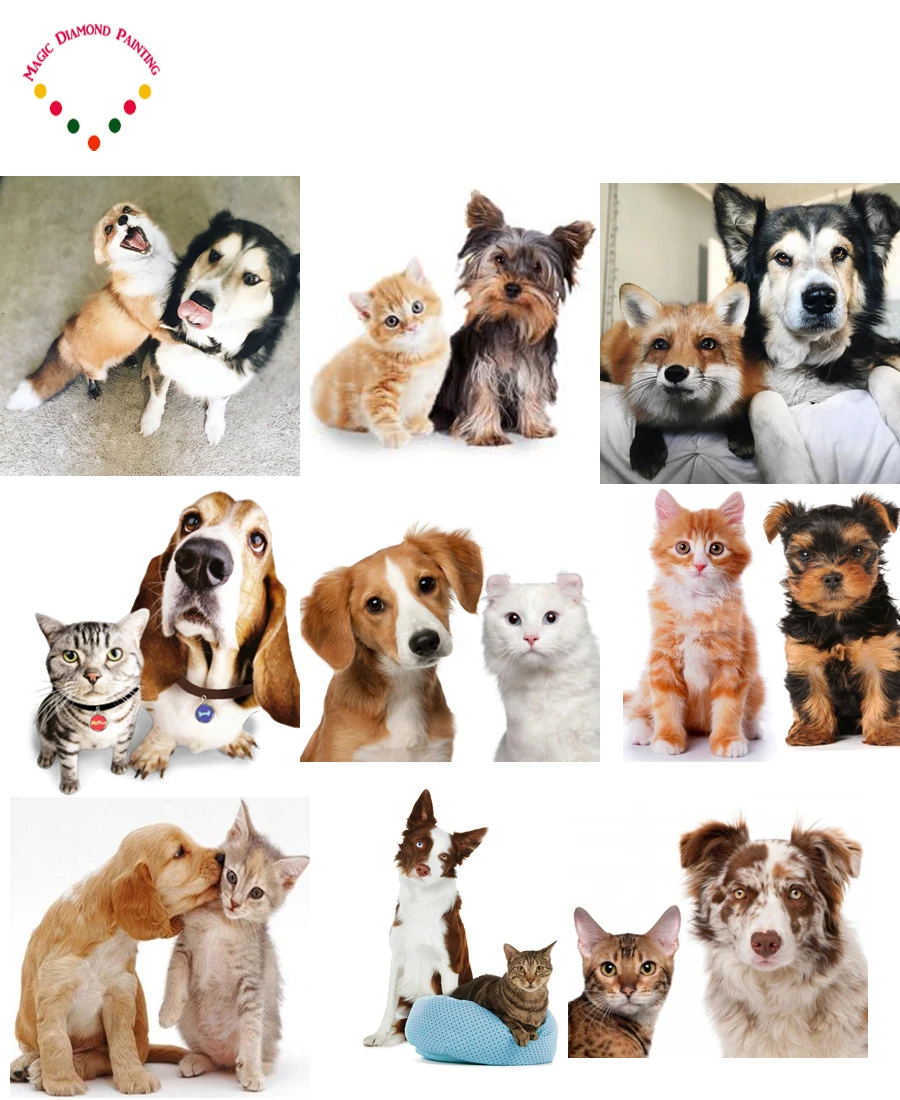 DIYDogs и кошек 20x20 см картина вышитая бисером Алмазная вышивка круглые Алмазы