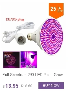 dianxiaobao