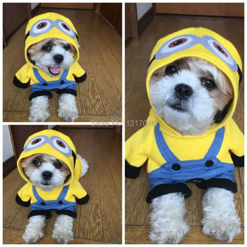 pet coat for small dog clothes warm dog jacket puppy outfits funny dog halloween costume yorkie - Halloween Costume For Small Dogs pet coat for small dog clothes warm dog jacket puppy outfits funny dog halloween costume yorkie - Halloween Costume For Small Dogs