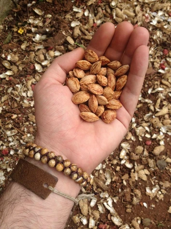 Men Bracelet Cool Picture Stone Beads Braided Cuff Bracelet Handmade Friendship Bracelets Male Bracelet Jewelry Dropship