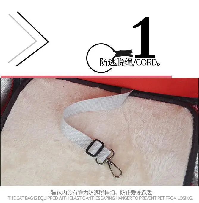 QQ20181130155941