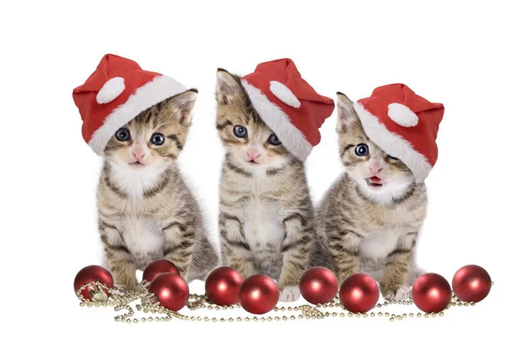 

2017 5D Diamond embroidery scenic cross stitch Rubik's cube diy diamond painting Three Christmas cats diamond painting