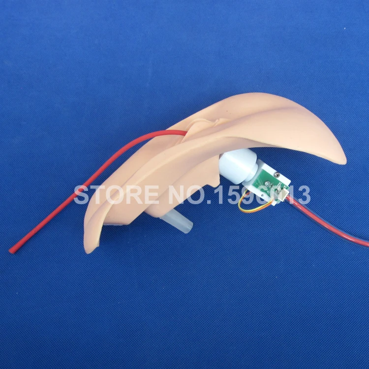 408 catheterization (5)