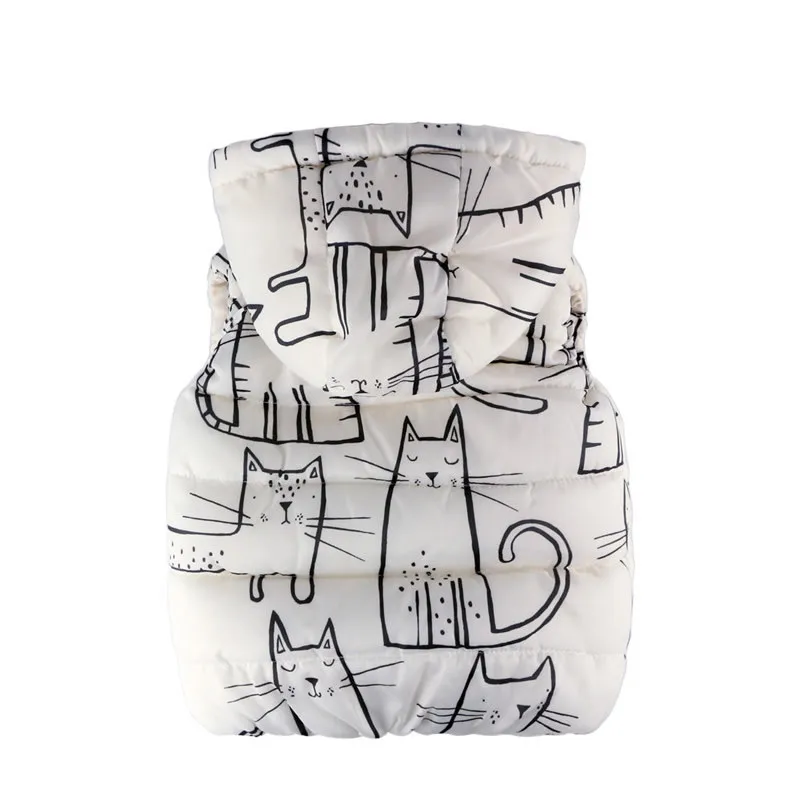 9122268904_1046179288