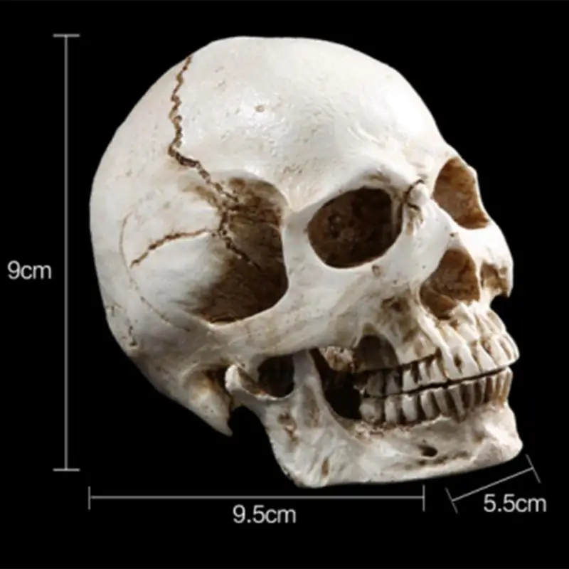 Human Head Replica Resin Divided 3D Skull Mould for Halloweeen Decoration DIY Party Haunted Halloween Skull House Supplies