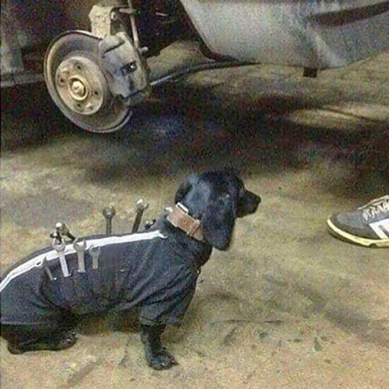 

Working Dog Vest Mechanics Assistant Dog Working Overalls with Multi Pockets XH8Z