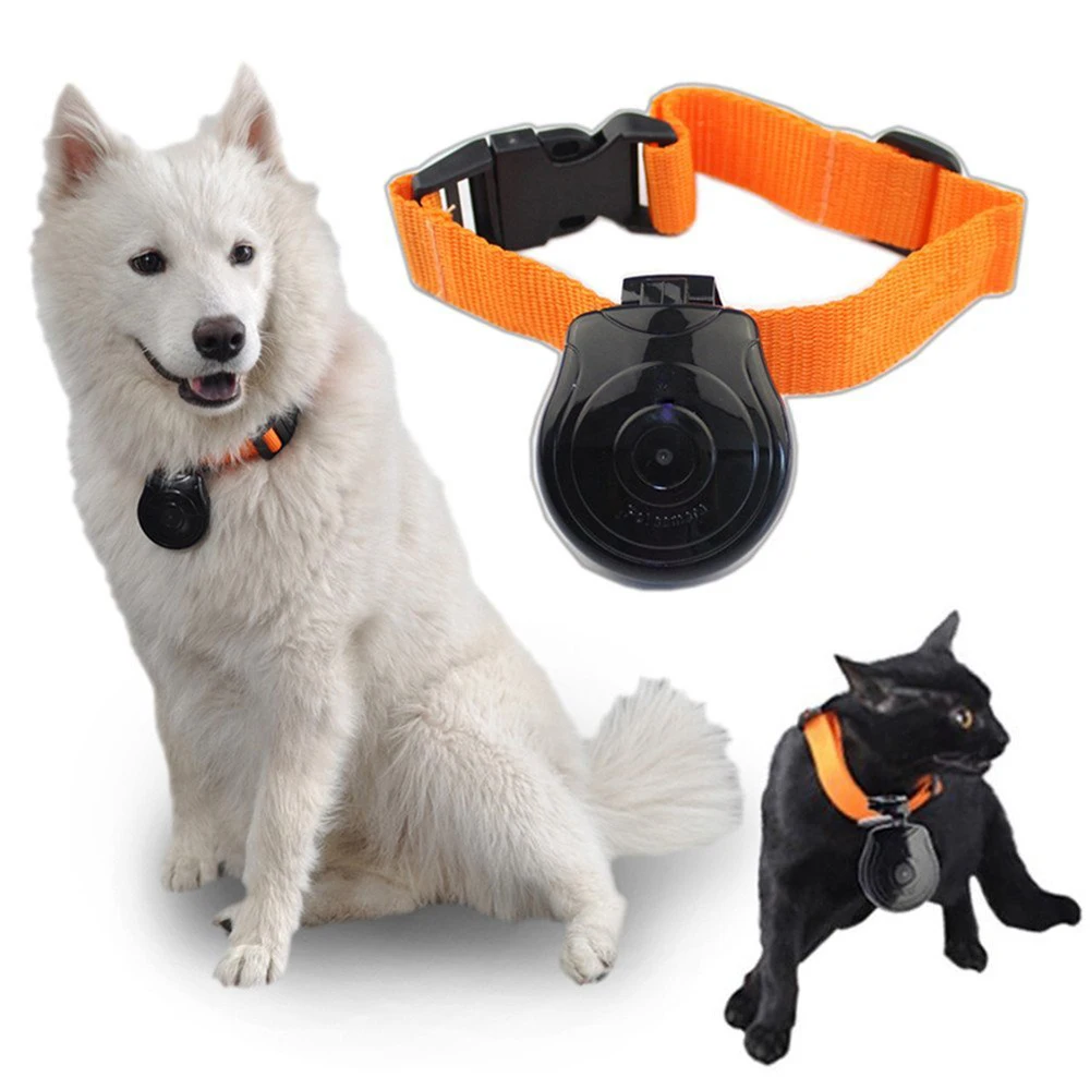 Digital Pet Collar Cam Camera Mini Video Recorder Cam Camera DVR Video
