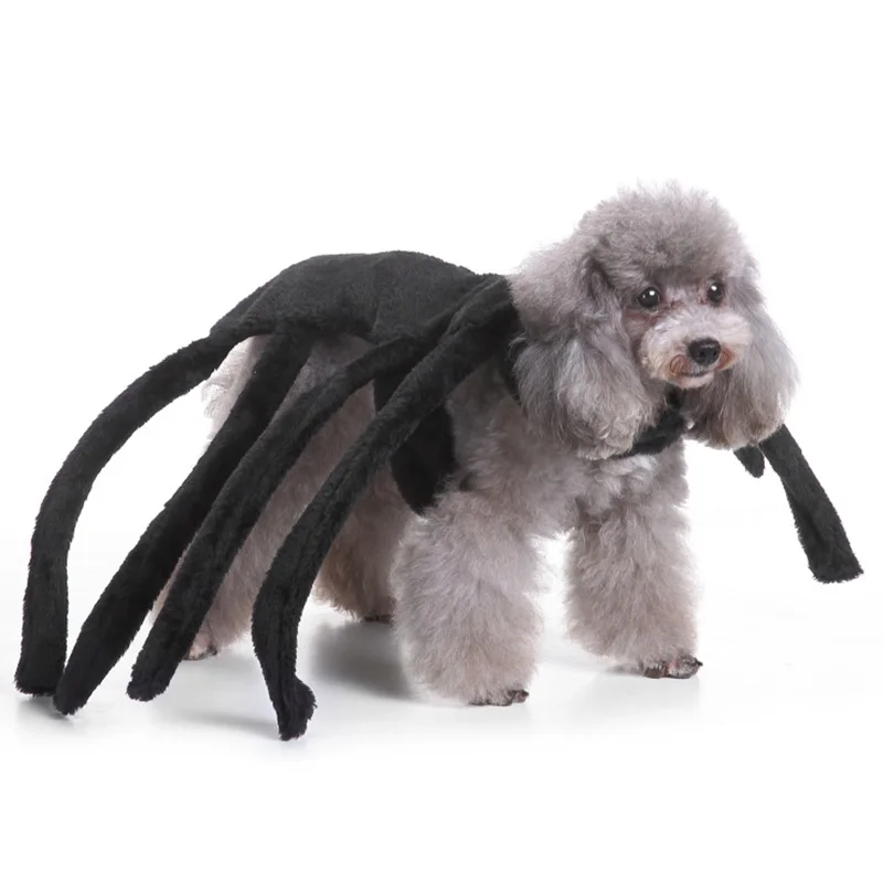

Big Spider Costume Clothes Halloween Pet Dog Costume Clothes For Dogs Clothing Pet Product Clothes
