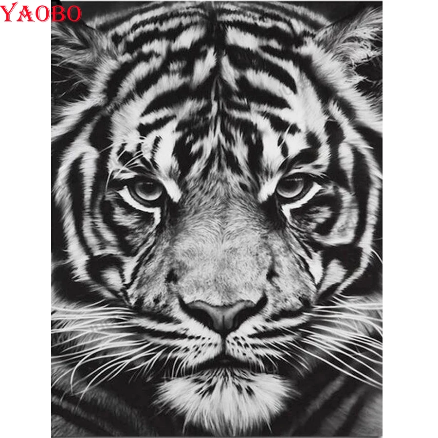 5d Diy Diamond Lukisan Harimau Hitam Dan Putih Dinding Seni Gambar Dari Rhinestones Cross Stitch Kit Diamond Bordir Dijual Berlian Lukisan Cross Stitch Aliexpress