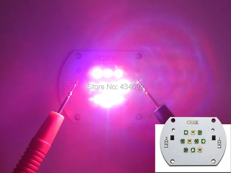 XPE 30W(1+1+1+4+3660NM) (5)