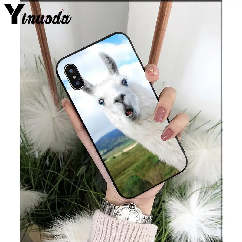 Yinuoda лама Alpacas животное умный чехол черный мягкий чехол для телефона для iPhone X XS MAX 6 6S 7 7plus 8 8Plus 5 5S XR