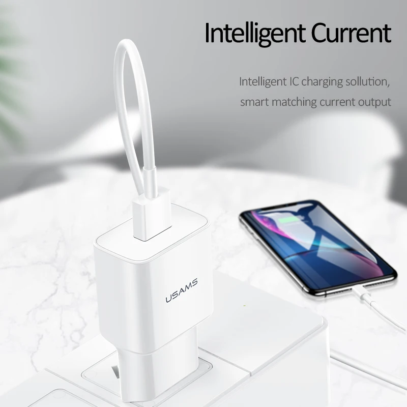 USAMS 1 двойное зарядное устройство USB 2 1/2.4A смарт для мобильного телефона iPhoneSamsung