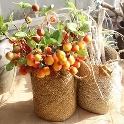 Поддельные Искусственный вырос плоды персика ягоды букет Цветочные ягодный Сад Home Decor дешевые цветок