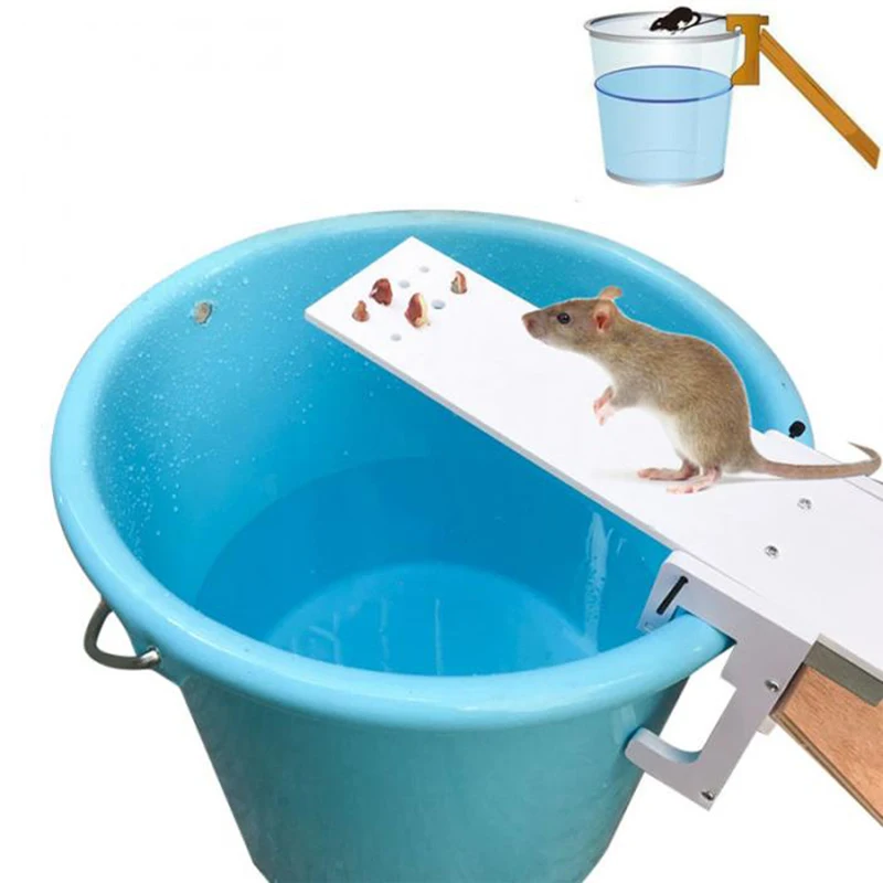 Промо-акция! Домашний сад, контроллер вредителей, крысиная ловушка, быстрая ловушка для рыбы, ловушка для мыши, приманка - Цвет: White