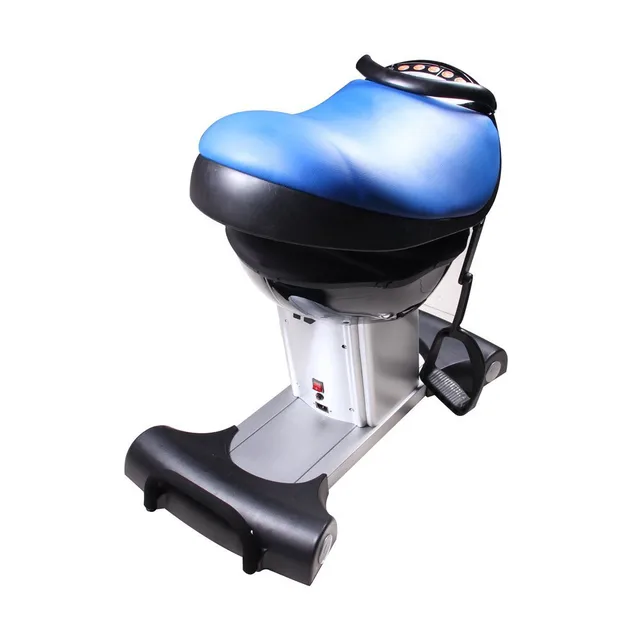 Electric Horse Riding Exercise Equipment Gym Fitness Machinein Horse