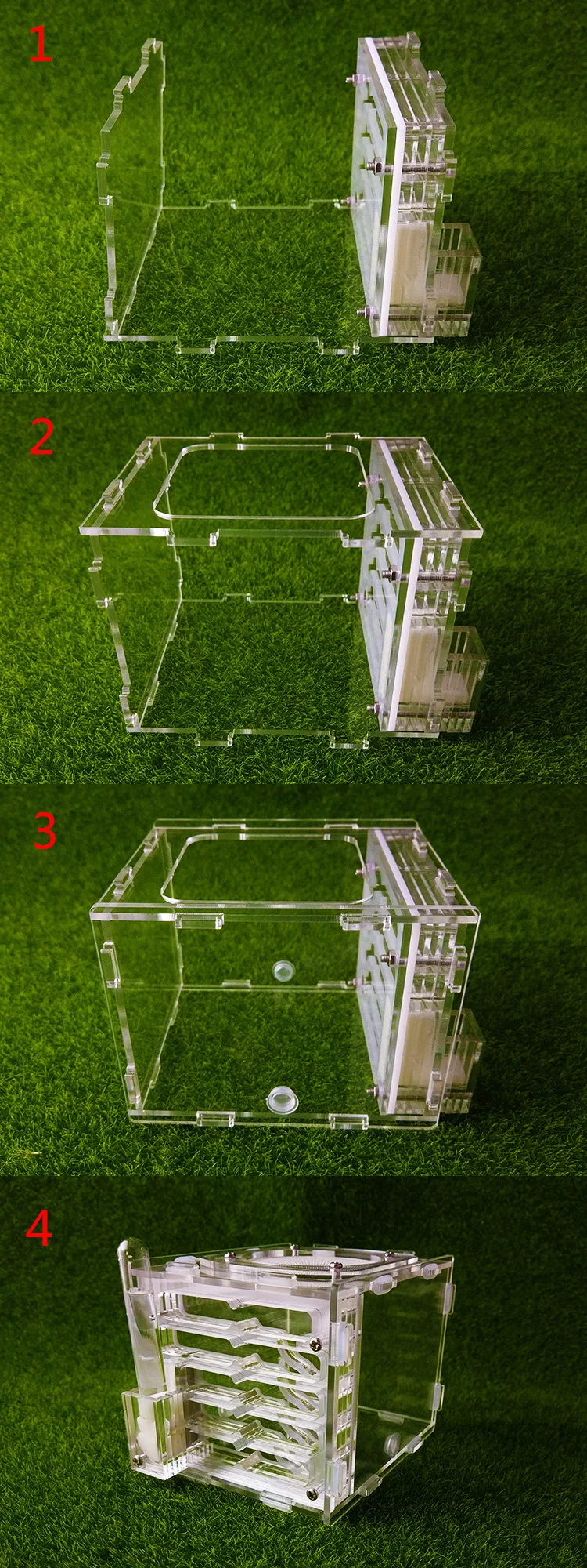 ant-nest (4)