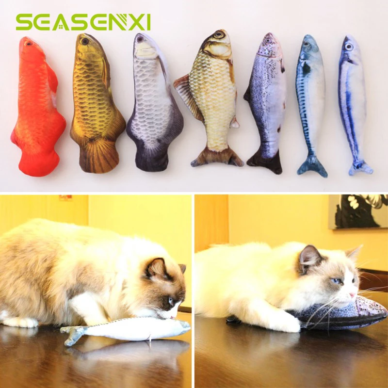 Cataire Chat Jouet Poisson 7 Style Doux Interactif Jouets Pour Animaux De Compagnie Pour Chats Chaton Morsure Macher Gratter Chat Jouet Chat Pour Jouer Fournitures Pour Animaux De Compagnie Aliexpress