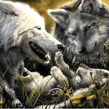 5799 волки семья-краска комплекты номеров для взрослых DIY