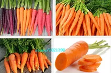 Морковь семена 100 семена популярные семена овощных культур для дома сад посадки